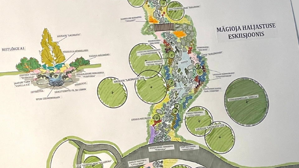 Eskiisjooniste koostamine